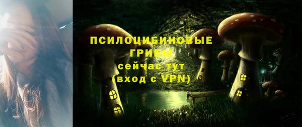 винт Зеленокумск