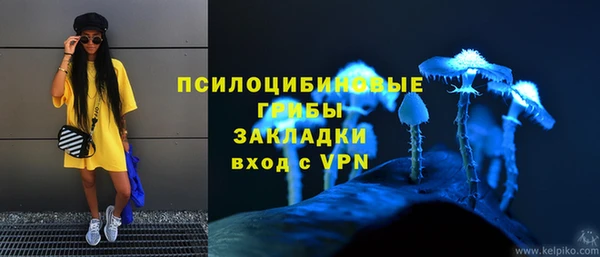spice Зерноград