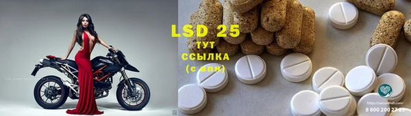 spice Зерноград