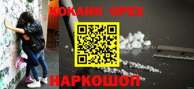 PSILOCYBIN Владимир