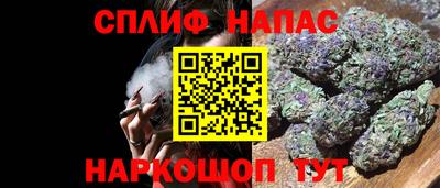 PSILOCYBIN Владимир