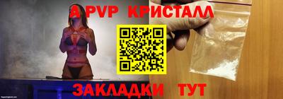 стаф Шадринск