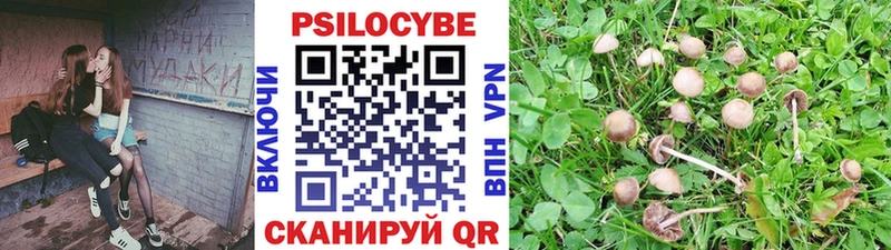 darknet состав Белгород Галлюциногенные грибы Psilocybe наркота